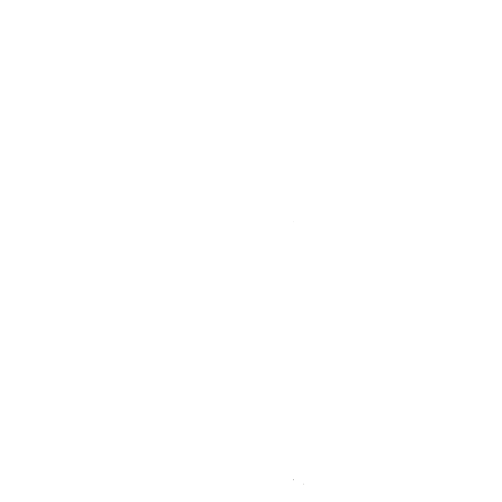 RayanRadin Logo